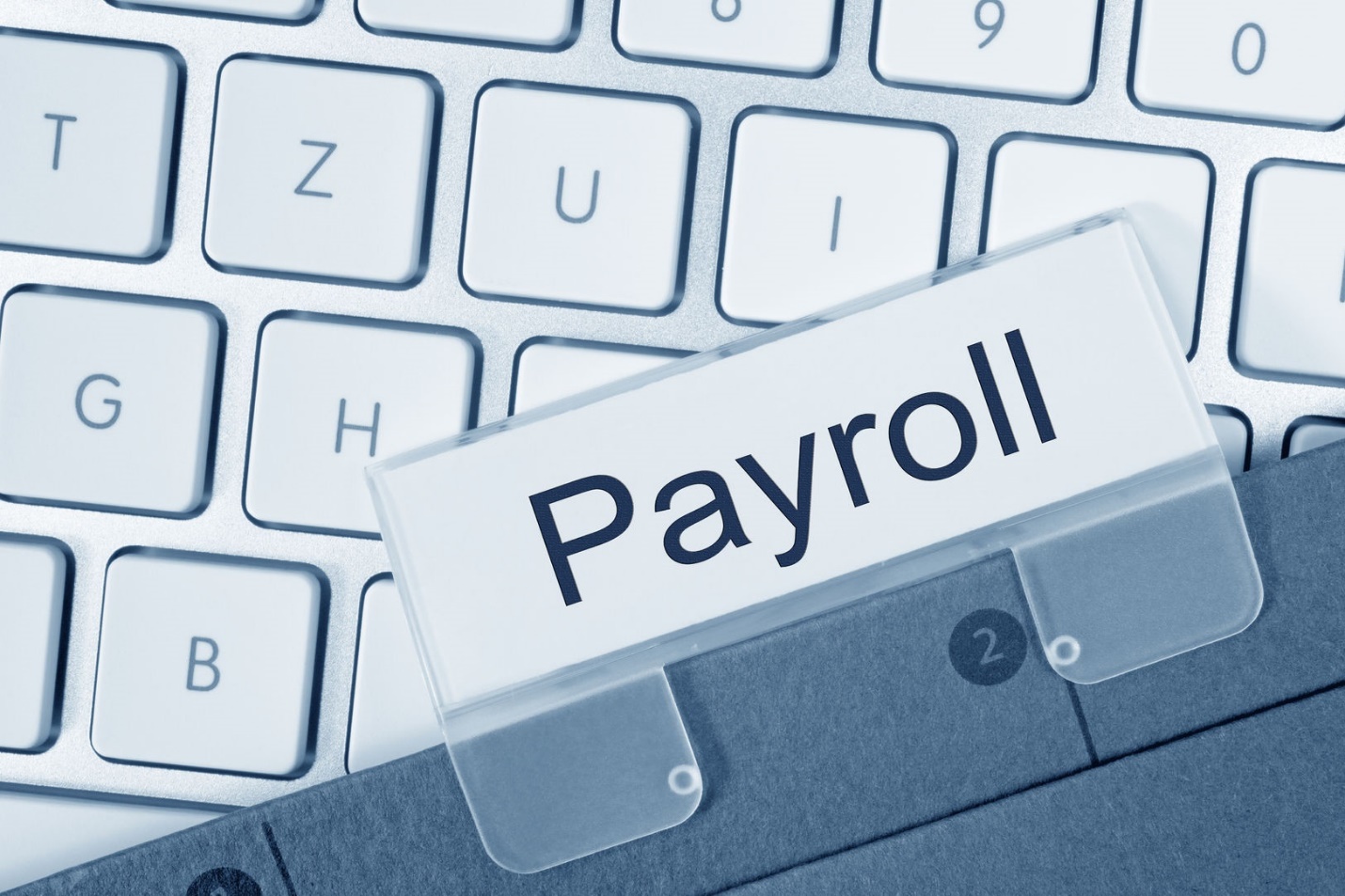 Kelebihan OMEGA Payroll Services